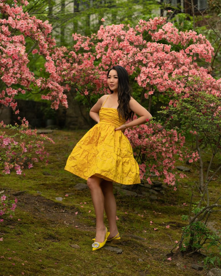 Sezane - A Guide to their Summer Editions Collection